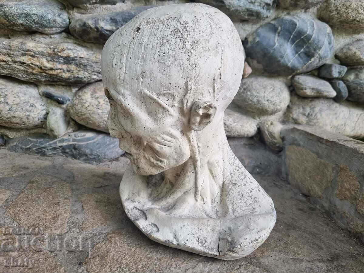 Old anatomical sculpture with price 565.00 BGN | € 288.88 Old anatomical sculpture with price 565.00 BGN | € 288.88