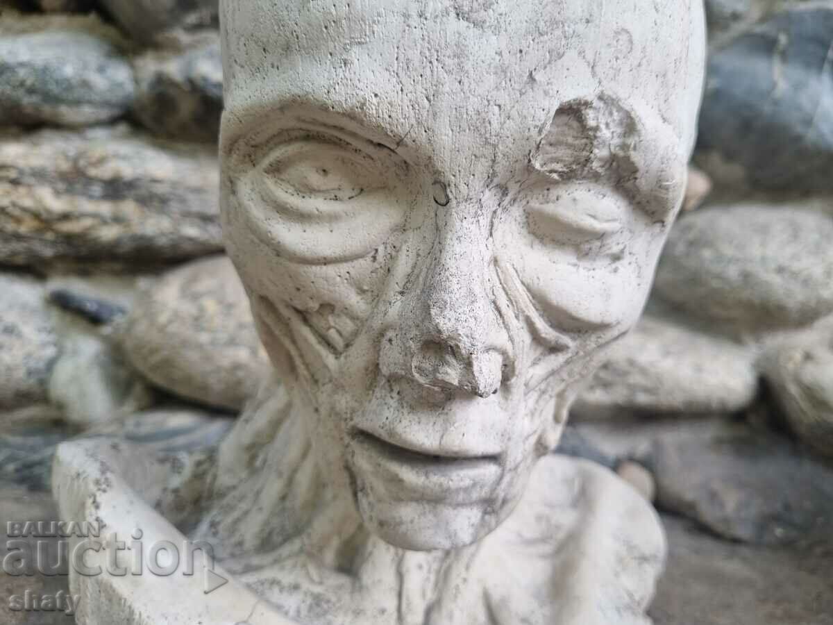 Old anatomical sculpture - 5 Old anatomical sculpture - 5