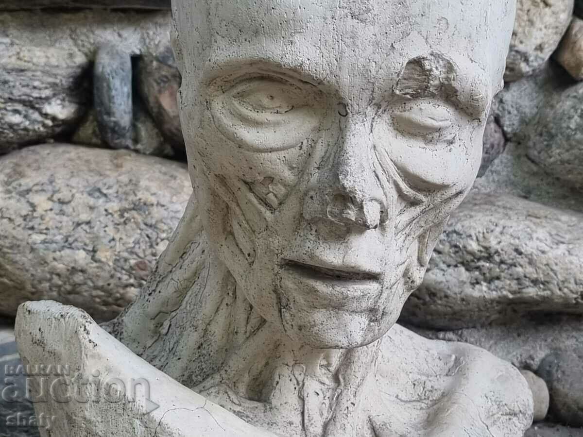 Old anatomical sculpture - 6 Old anatomical sculpture - 6