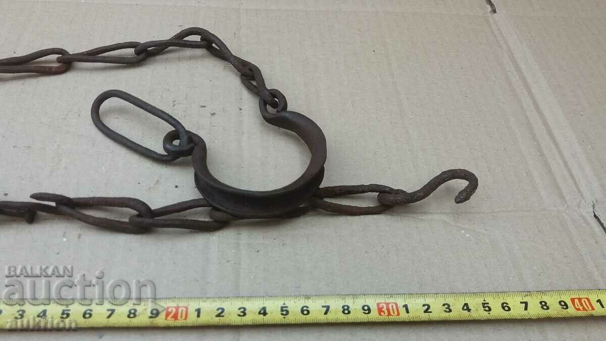 OLD WROUGHT BEECH, SHACKS, ANIMAL SHAPES - 5 OLD WROUGHT BEECH, SHACKS, ANIMAL SHAPES - 5