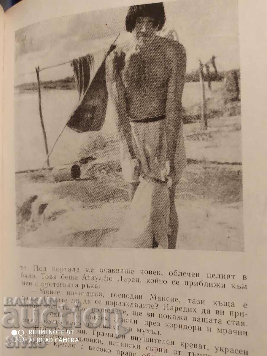 Auction  Amazonia, land unfinished, Yves Mancier, many photos