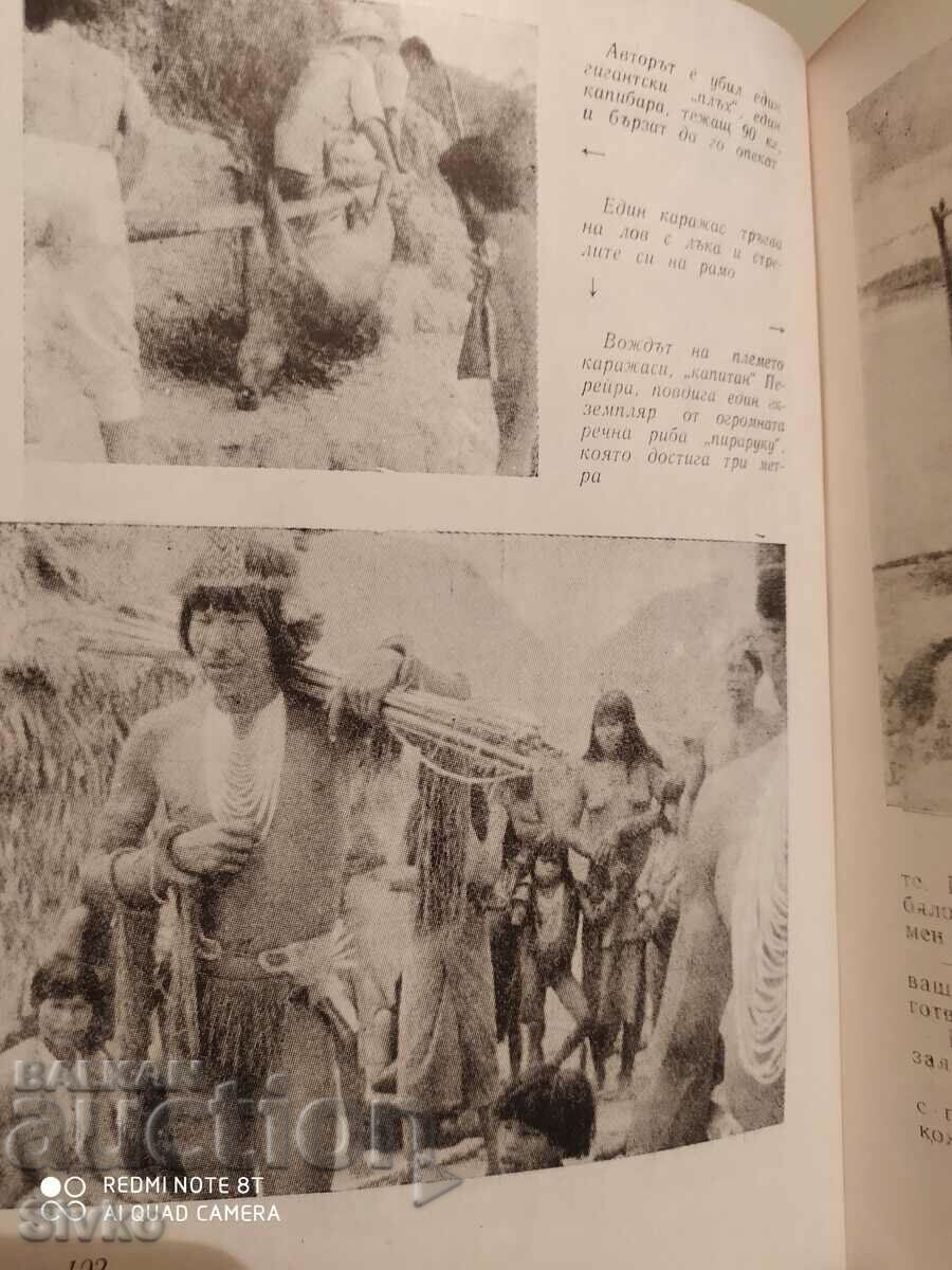 Delivery of Amazonia, land unfinished, Yves Mancier, many photos