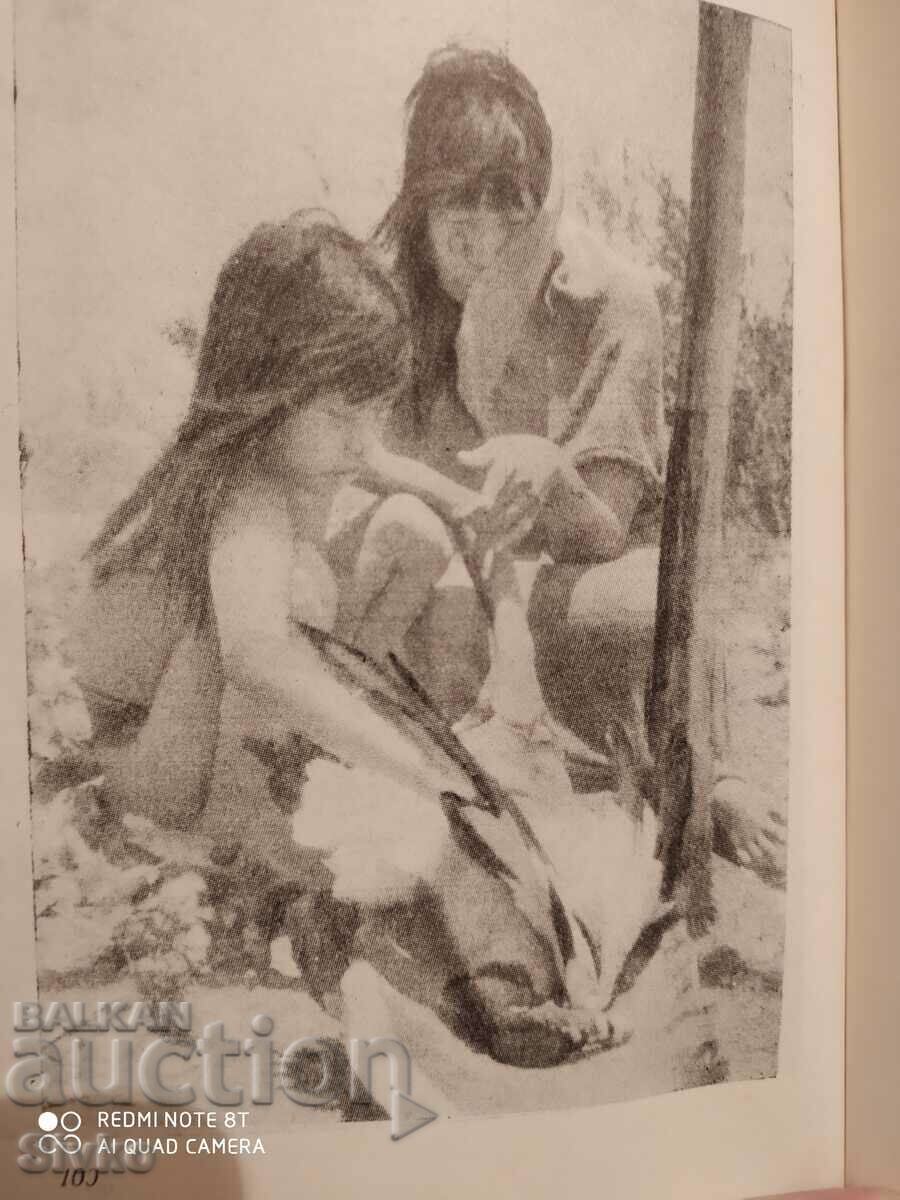 Amazonia, land unfinished, Yves Mancier, many photos - 5