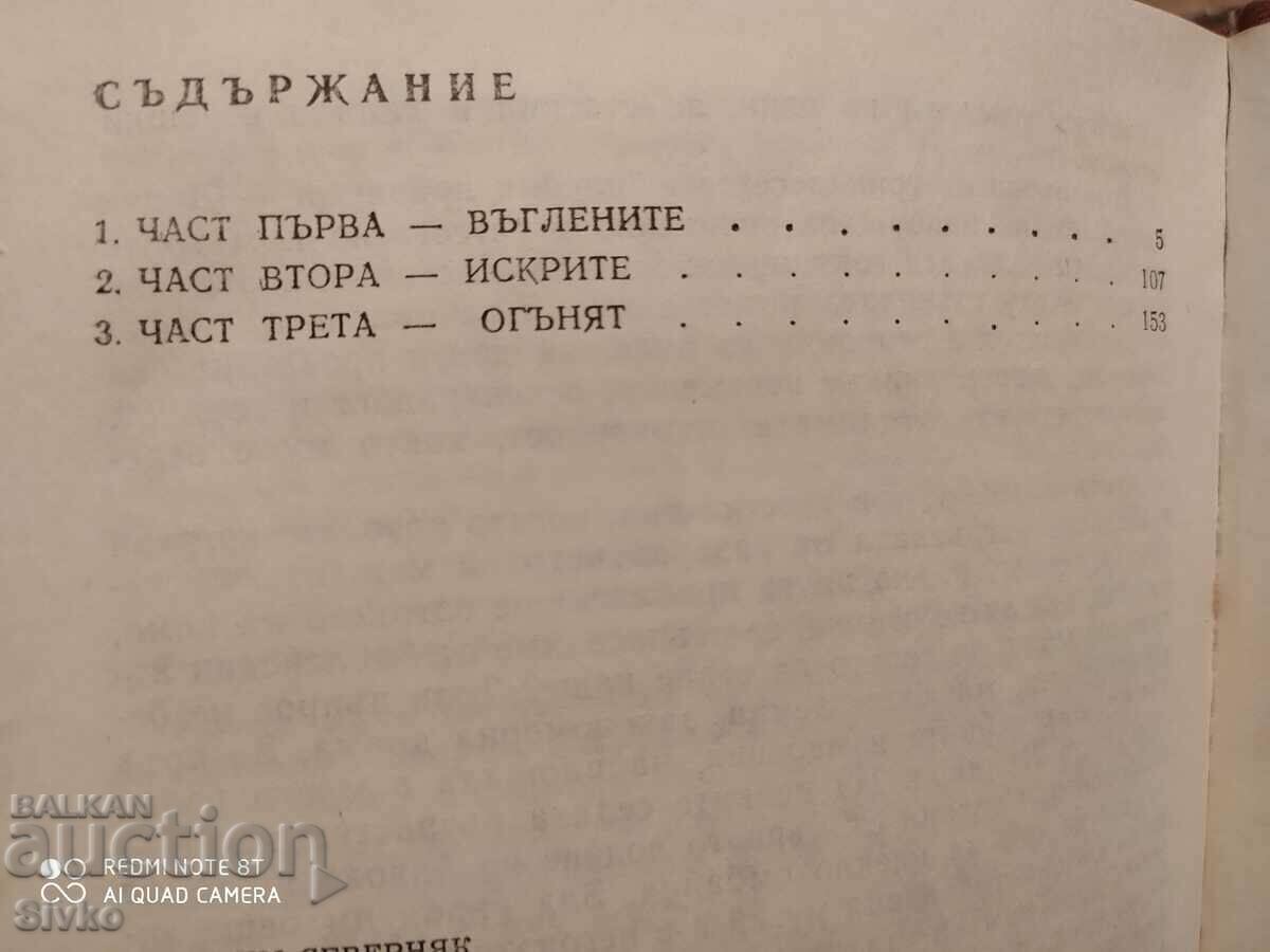 Licitație Un pământ plin de istorie, Serafim Severniak, fotografii Licitație Un pământ plin de istorie, Serafim Severniak, fotografii