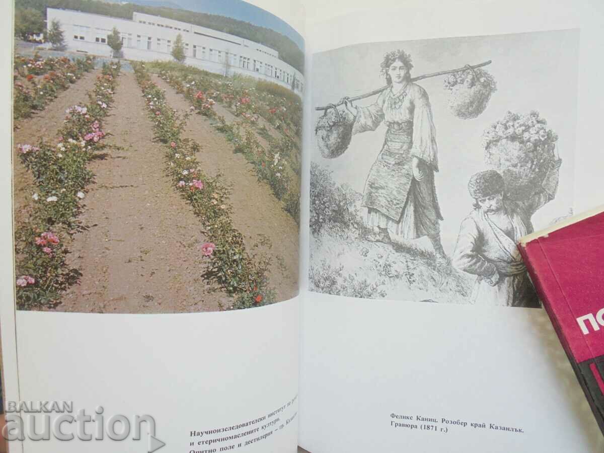 Роза, розово масло, жирозитал - Михаил Киров 1986 г. - 5 Роза, розово масло, жирозитал - Михаил Киров 1986 г. - 5