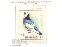 1969. Hungary. International pigeon show.