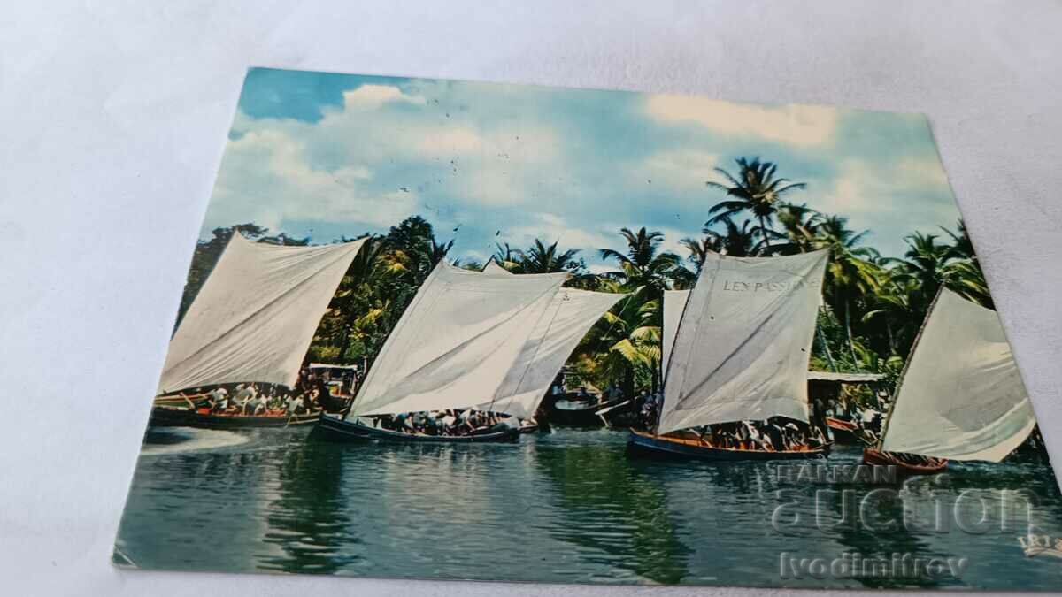 Carte poștală Martinica