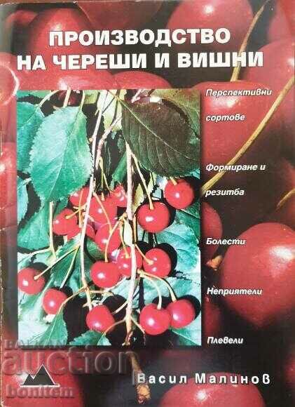 Производство на череши и вишни - Васил Малинов
