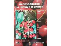 Production of cherries - Vasil Malinov