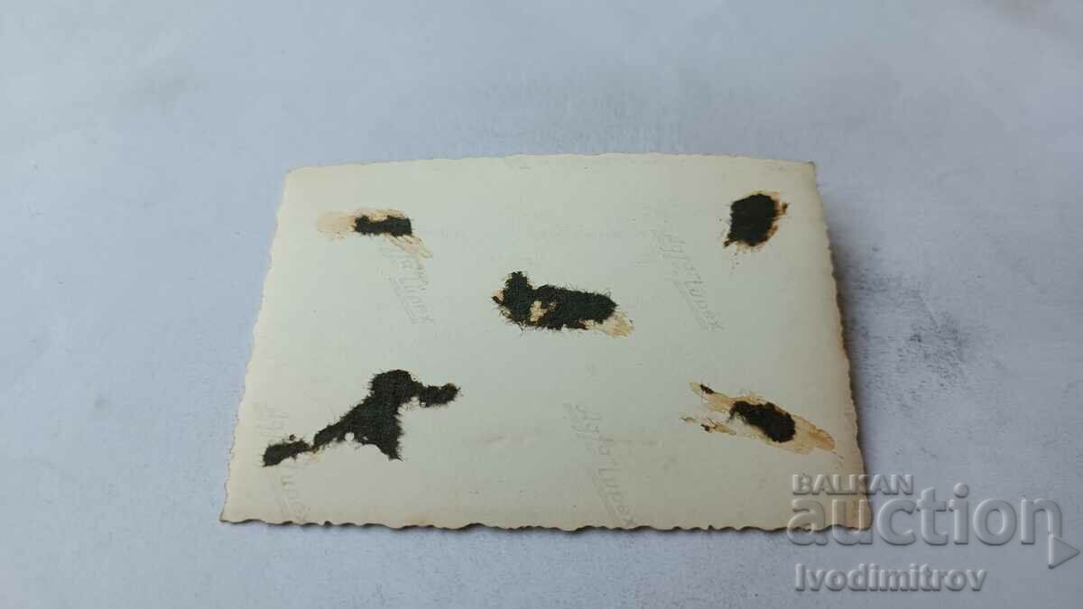 Photo Men in the sea with price 1.85 BGN | € 0.95 Photo Men in the sea with price 1.85 BGN | € 0.95