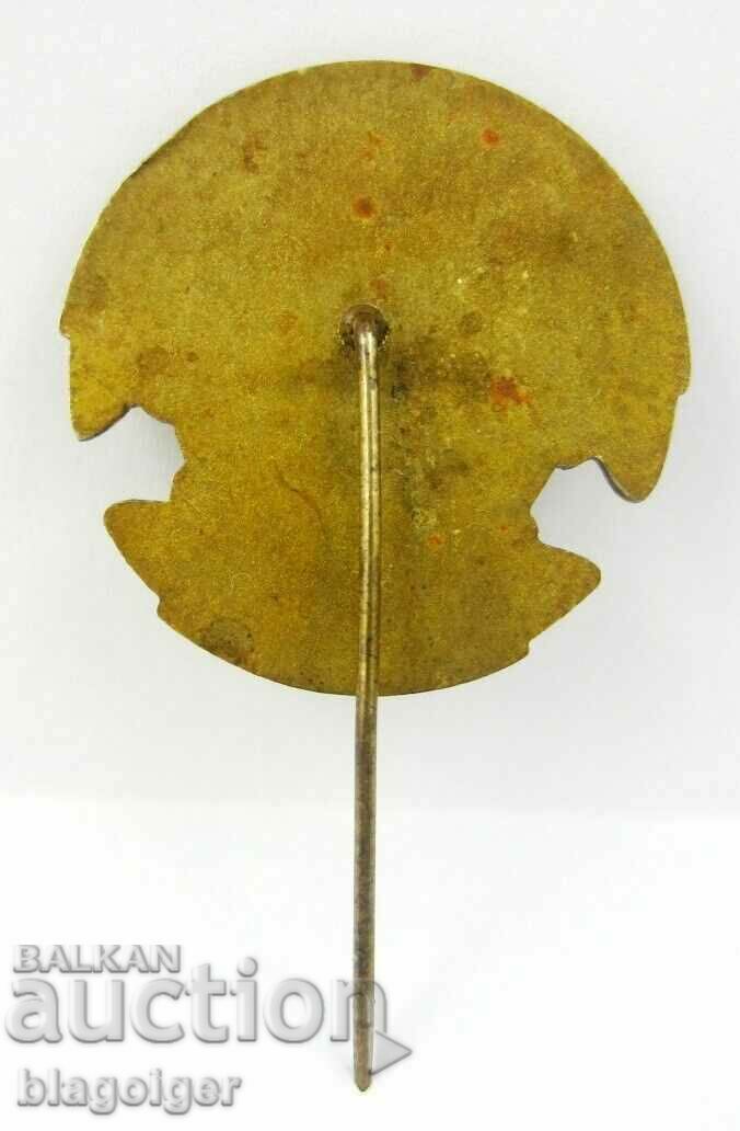 Soccer-USA-Arizona-Old Badge-Bronze with price 9.99 BGN | € 5.11 Soccer-USA-Arizona-Old Badge-Bronze with price 9.99 BGN | € 5.11