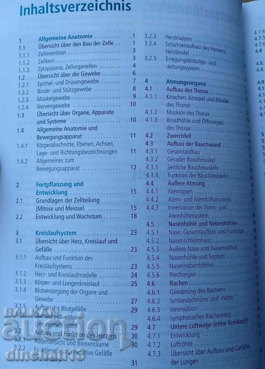 Auction Anatomie und Physiologie: Jochen Schindelmeiser Auction Anatomie und Physiologie: Jochen Schindelmeiser