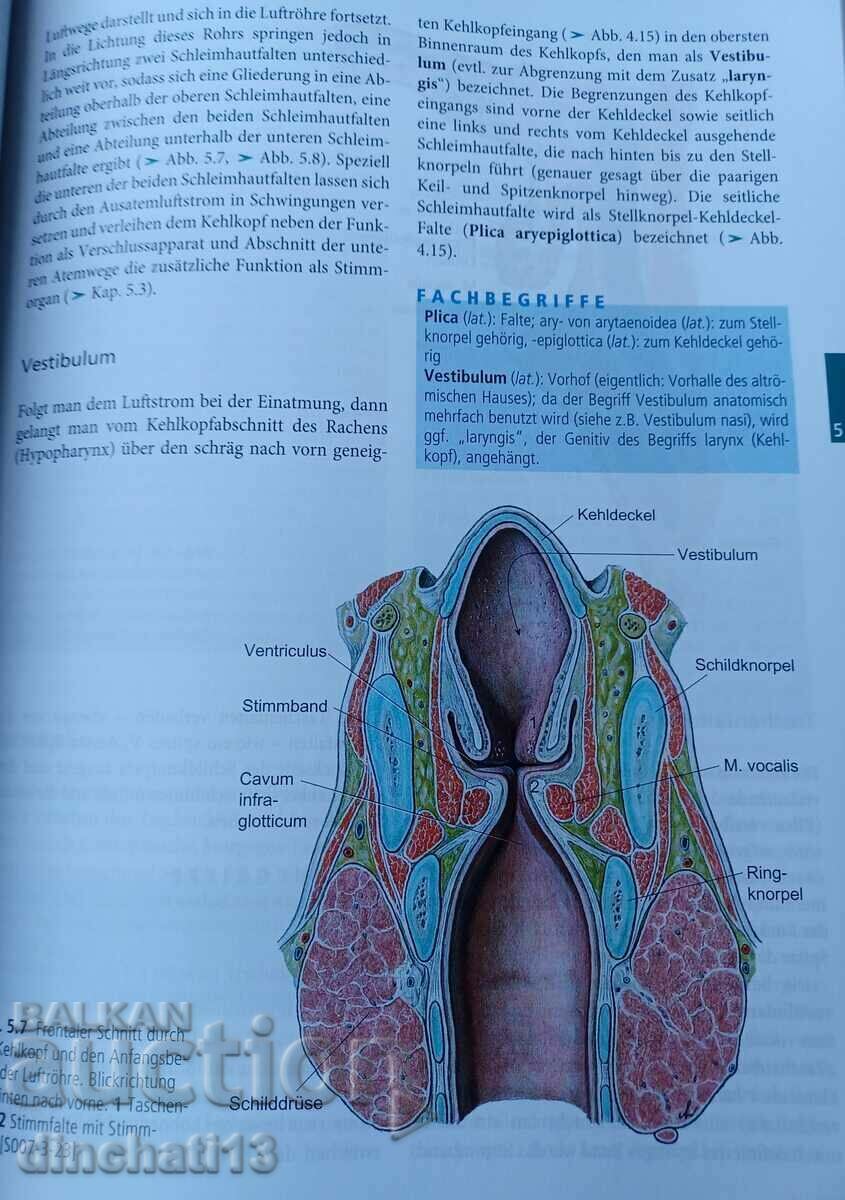 Anatomie und Physiologie: Jochen Schindelmeiser - 6 Anatomie und Physiologie: Jochen Schindelmeiser - 6