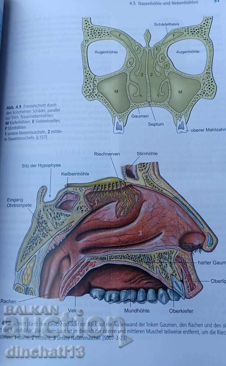 Anatomie und Physiologie: Jochen Schindelmeiser - 7 Anatomie und Physiologie: Jochen Schindelmeiser - 7