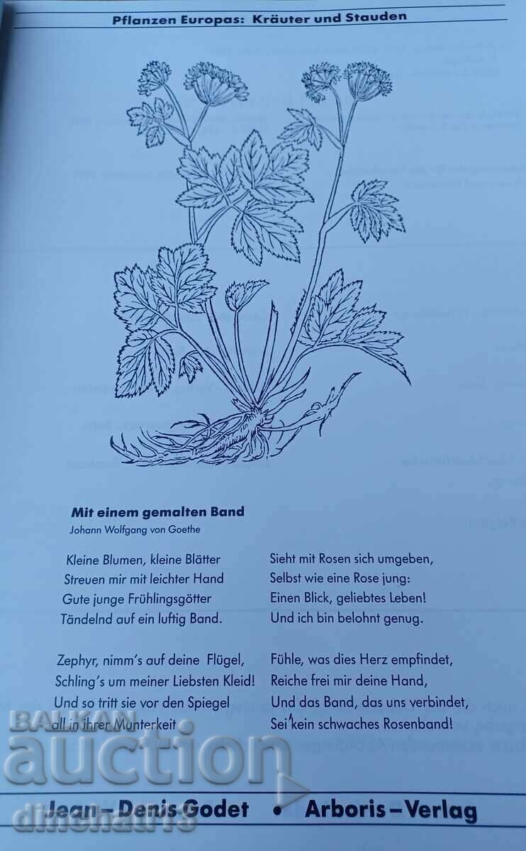 Pflanzen Europas: Sehen-Bestimmen-Schützen with price 79.00 BGN | € 40.39 Pflanzen Europas: Sehen-Bestimmen-Schützen with price 79.00 BGN | € 40.39