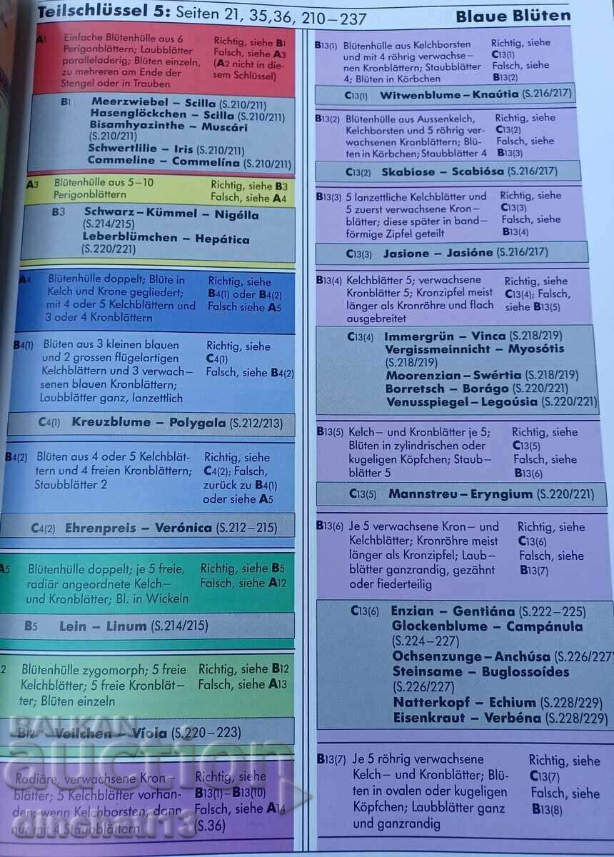Pflanzen Europas: Sehen-Bestimmen-Schützen - 5 Pflanzen Europas: Sehen-Bestimmen-Schützen - 5
