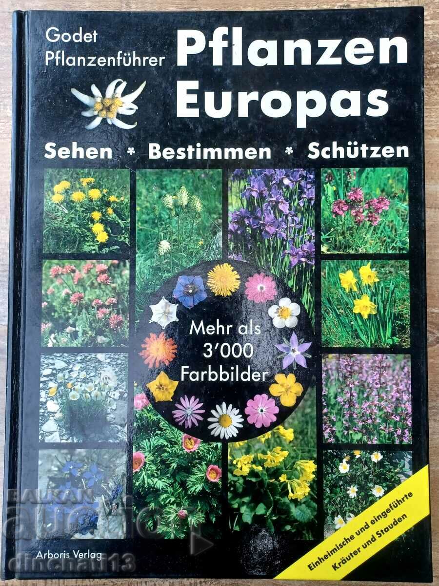 Pflanzen Europas: Sehen-Bestimmen-Schützen