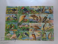 Old German stickers/decals - birds 16 pieces