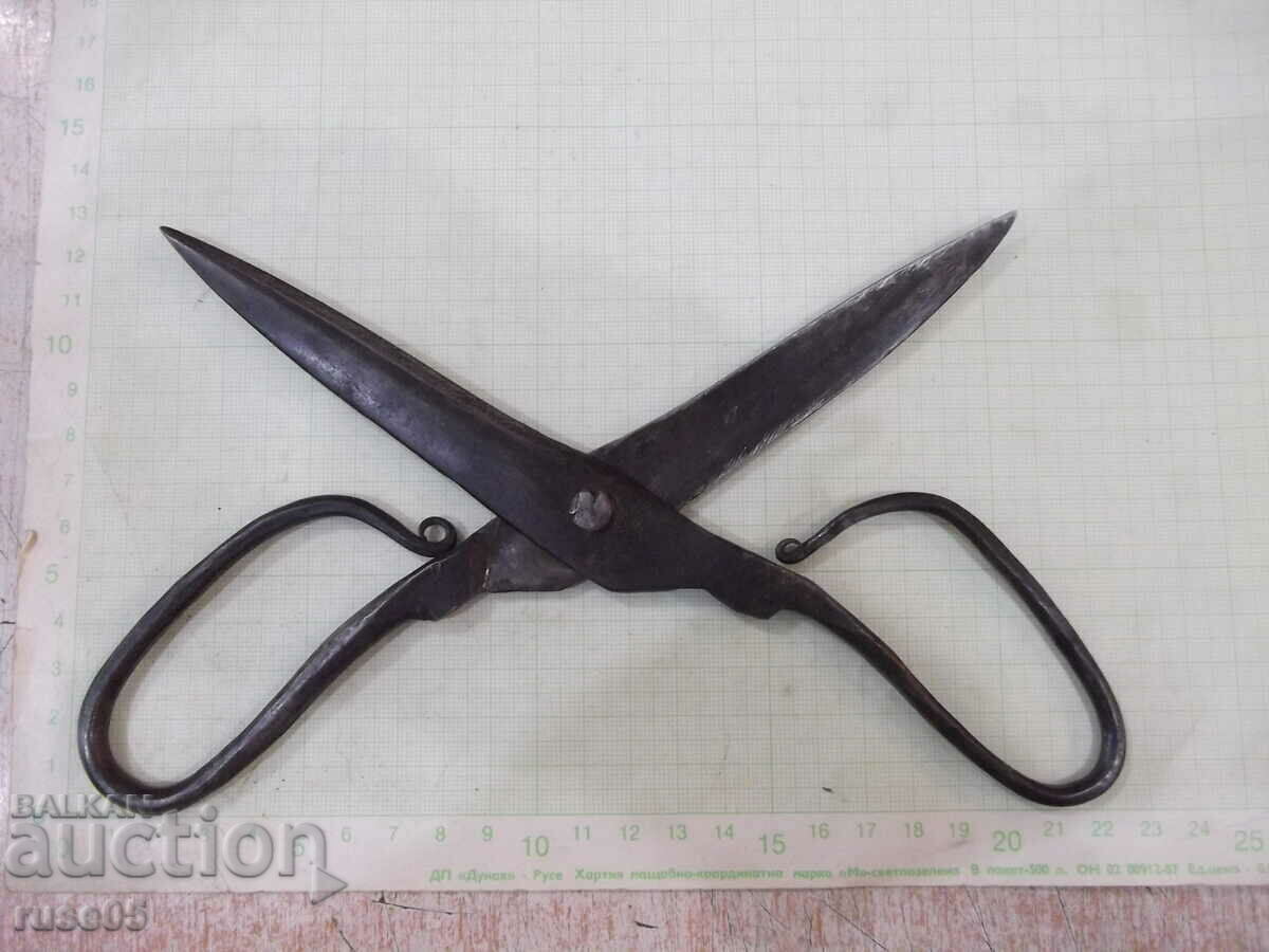 Scissors old forged - 6 Scissors old forged - 6