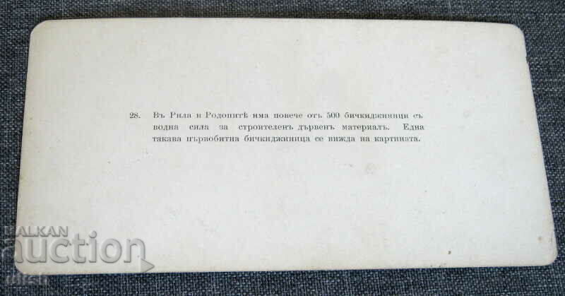 Old stereo map postcard of pine forests in the Rhodopes with price 10.00 BGN | € 5.11 Old stereo map postcard of pine forests in the Rhodopes with price 10.00 BGN | € 5.11