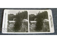 Παλιά καρτ ποστάλ με στερεοφωνικό χάρτη με πευκοδάση στη Ροδόπη