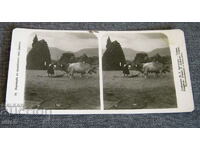 Old stereo map, postcard, threshing in the village of Jebne