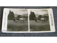 Old stereo card card threshing in the village of Dabene