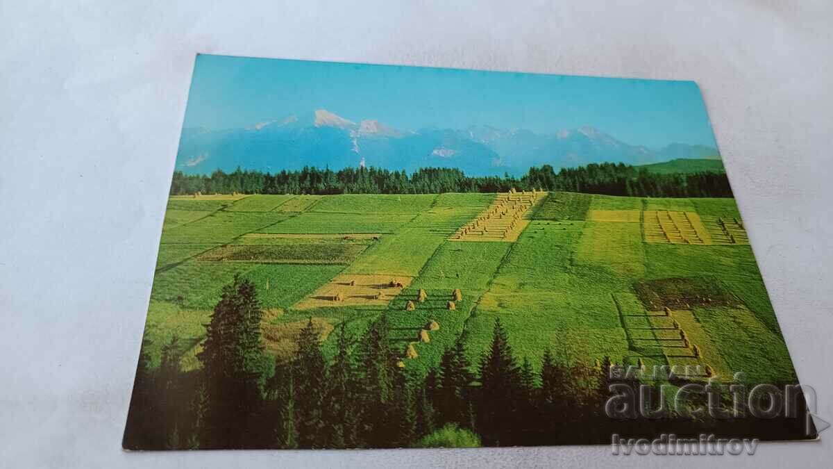 Пощенска картичка Panorama Tatr