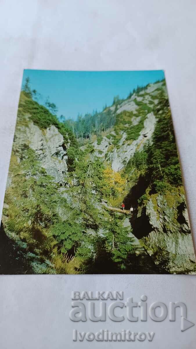 Пощенска картичка Zakopane W Dolinie Bialego