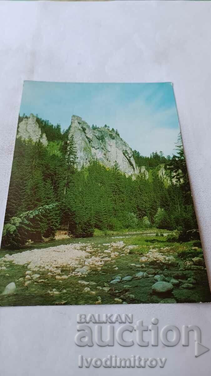 Postcard Tatry Zachodnie W Dolinie Chocholowskiej