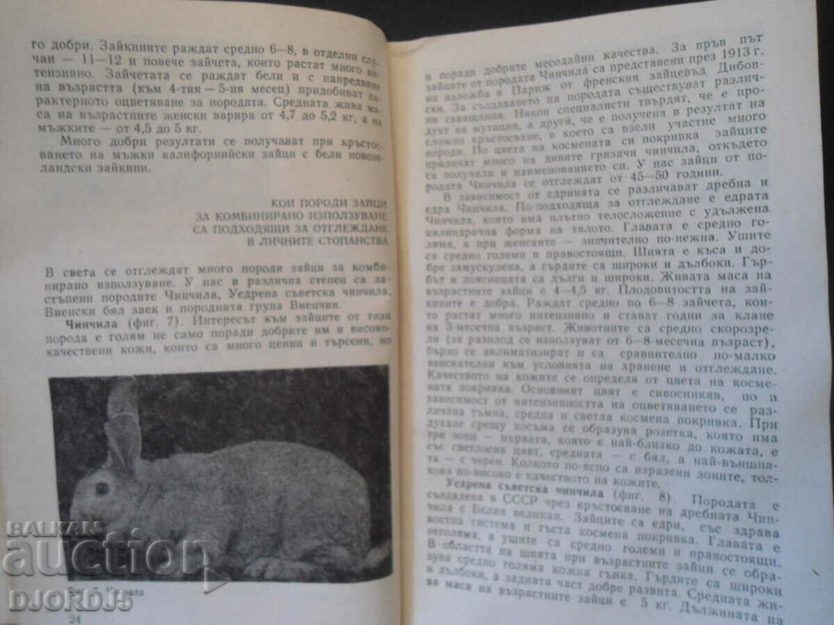 Questions and answers on rabbit with price 3.00 BGN | € 1.53 Questions and answers on rabbit with price 3.00 BGN | € 1.53