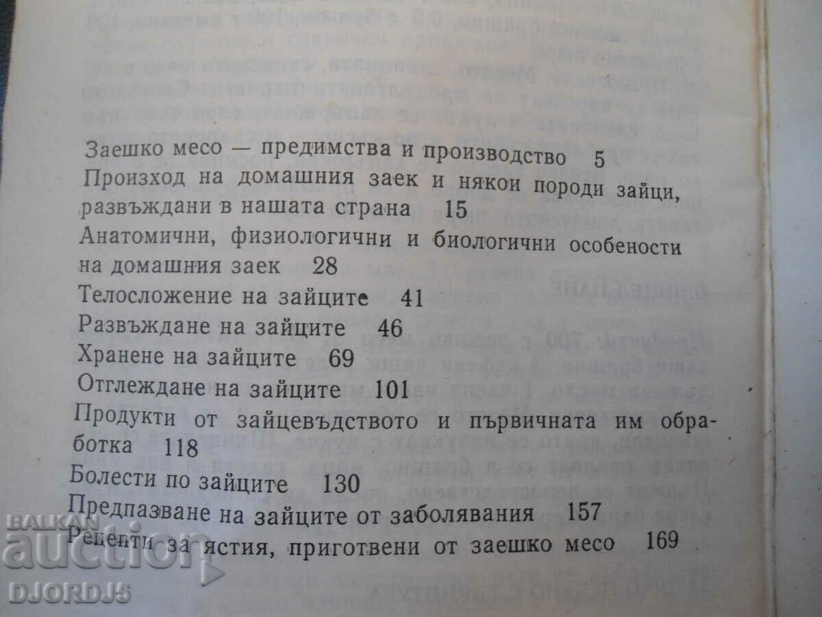 Auction Questions and answers on rabbit Auction Questions and answers on rabbit