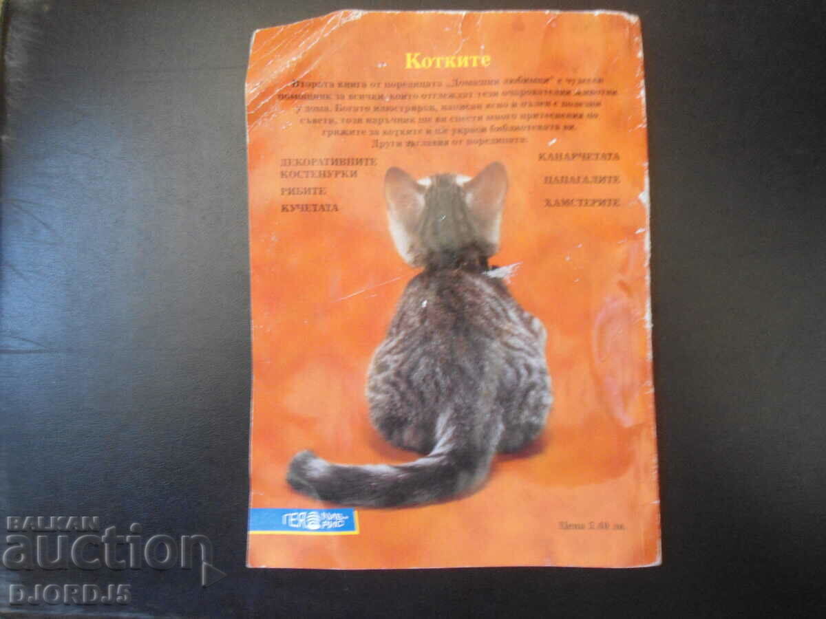 The cats - 6 The cats - 6