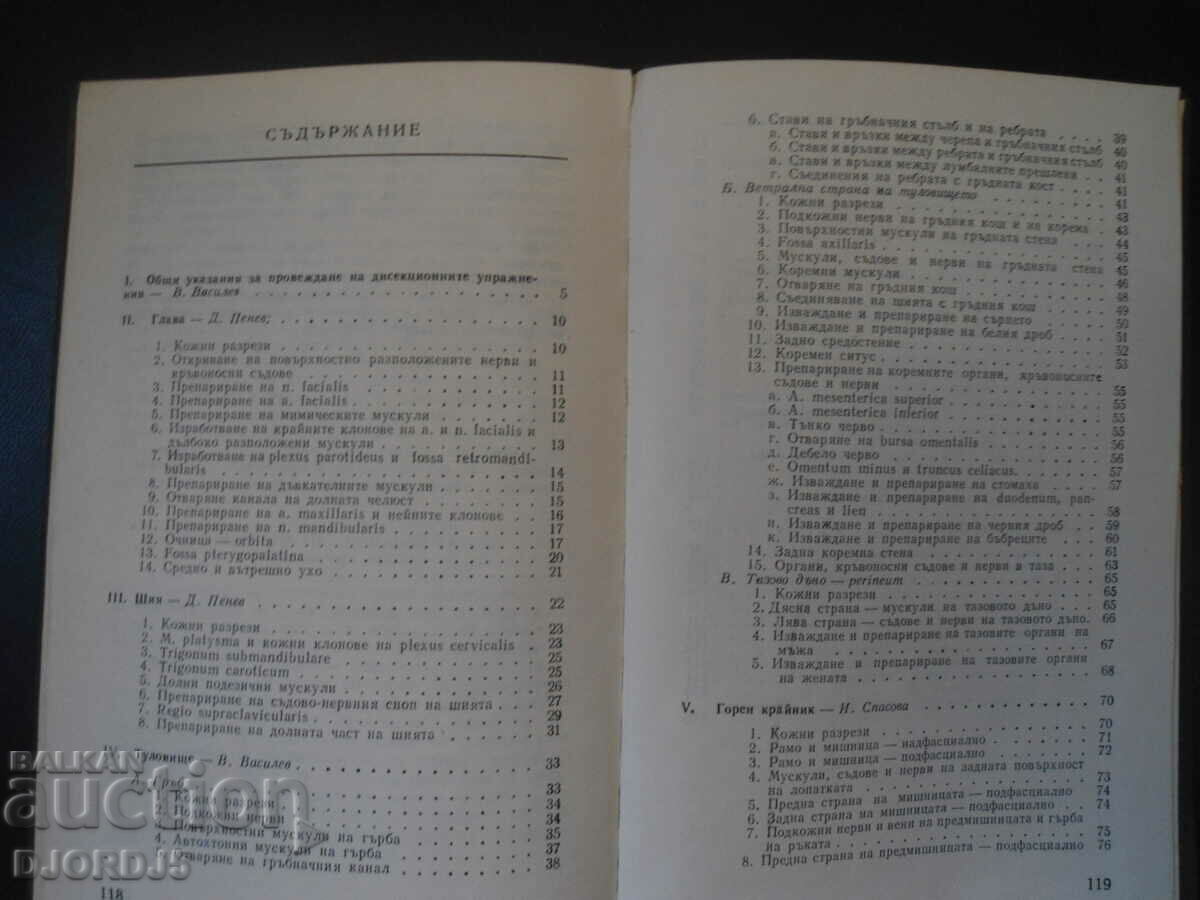 Auction Anatomy Dissection Exercise Guide Auction Anatomy Dissection Exercise Guide