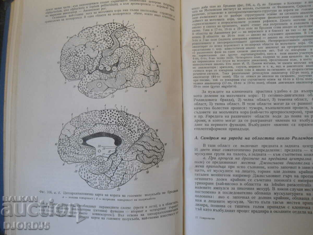 Neurology, Sasho Bozhinov - 5 Neurology, Sasho Bozhinov - 5