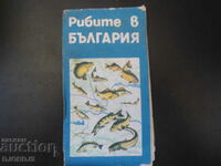 Ψάρια στη Βουλγαρία