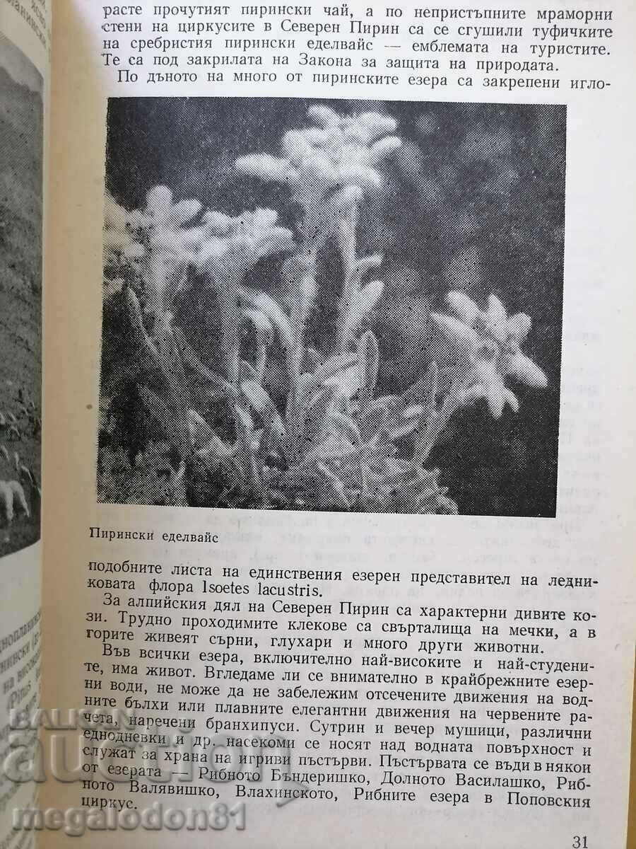 Pirin - οδηγός, εκδ. από το 1979 με τιμή 5.00 BGN | € 2.56 Pirin - οδηγός, εκδ. από το 1979 με τιμή 5.00 BGN | € 2.56