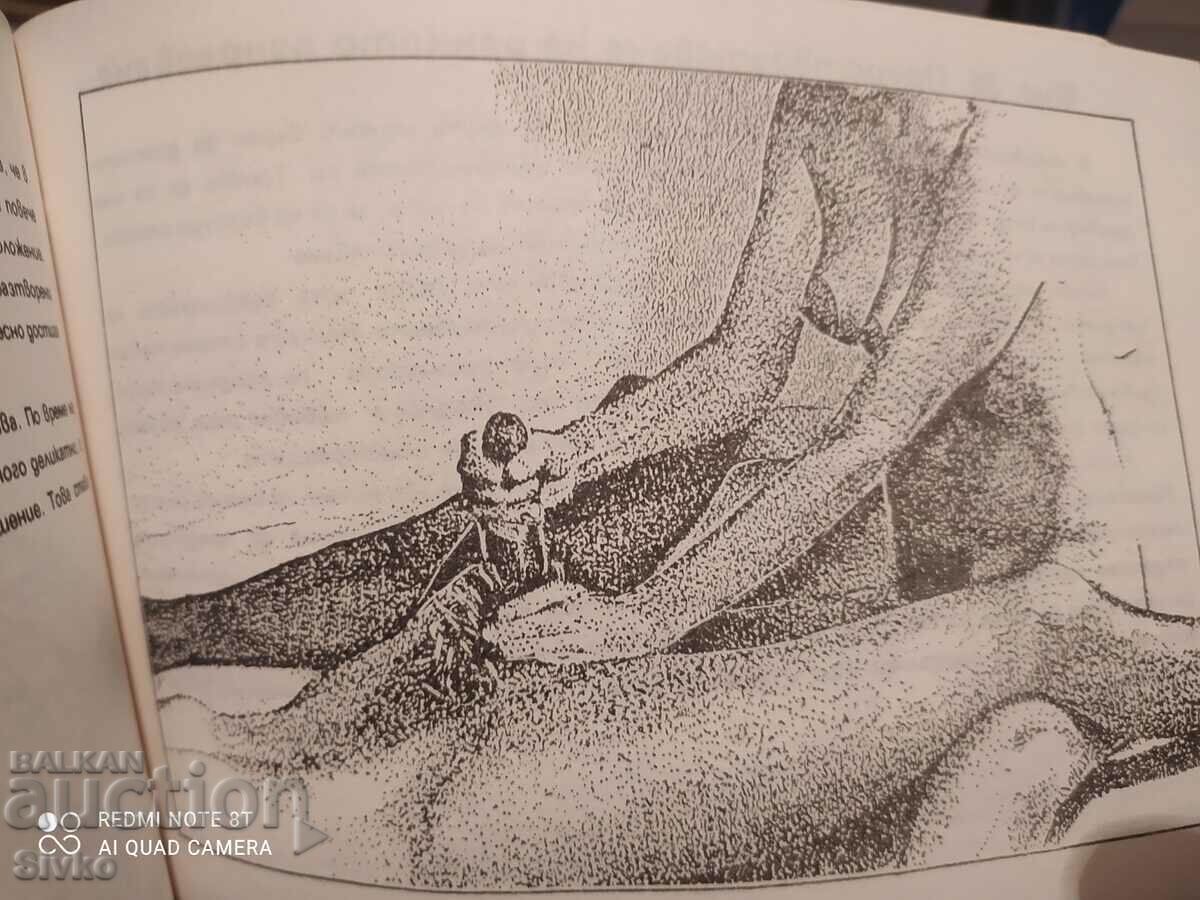 The Culture of Love, Dr. Vilmos Szilagyi, many pictures with price 29.99 BGN | € 15.33 The Culture of Love, Dr. Vilmos Szilagyi, many pictures with price 29.99 BGN | € 15.33