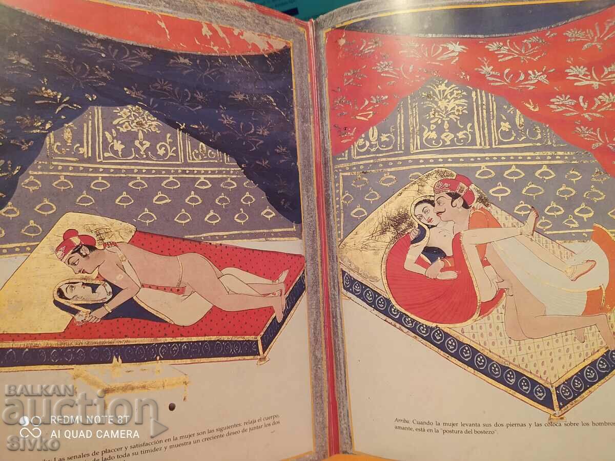 Auction Kama Sutra Deluxe Edition many illustrations Auction Kama Sutra Deluxe Edition many illustrations