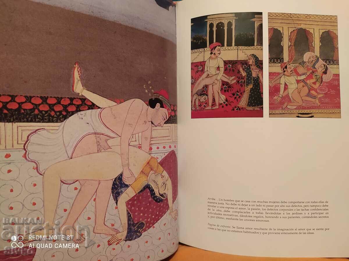 Kama Sutra Deluxe Edition many illustrations - 6 Kama Sutra Deluxe Edition many illustrations - 6