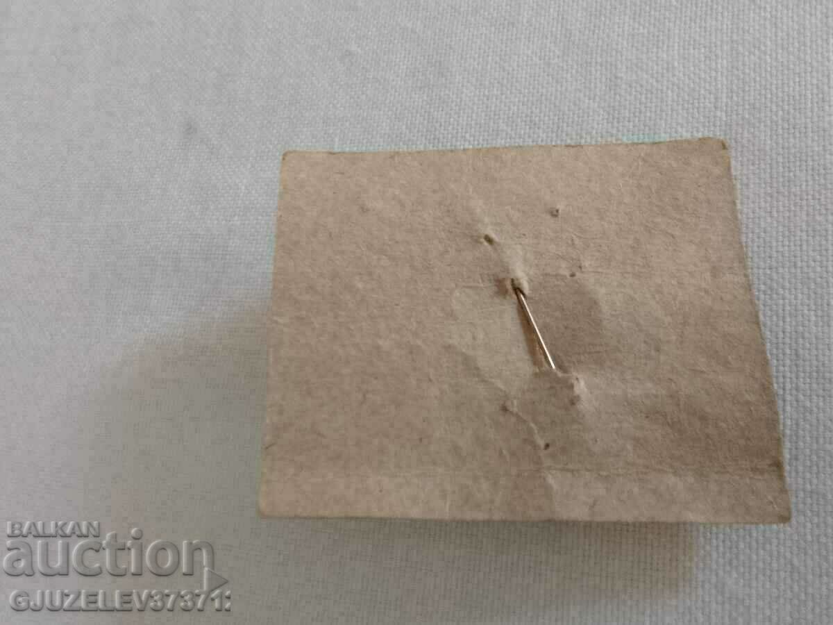 Стари брошка кокиче с ползата не е използвана - 6 Стари брошка кокиче с ползата не е използвана - 6