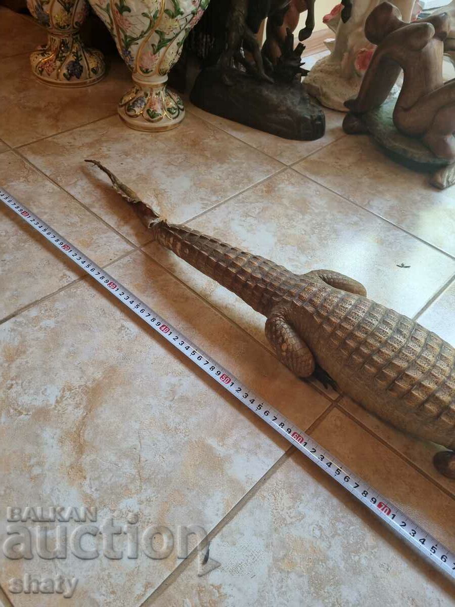 Delivery of Stuffed crocodile. Trophy Delivery of Stuffed crocodile. Trophy