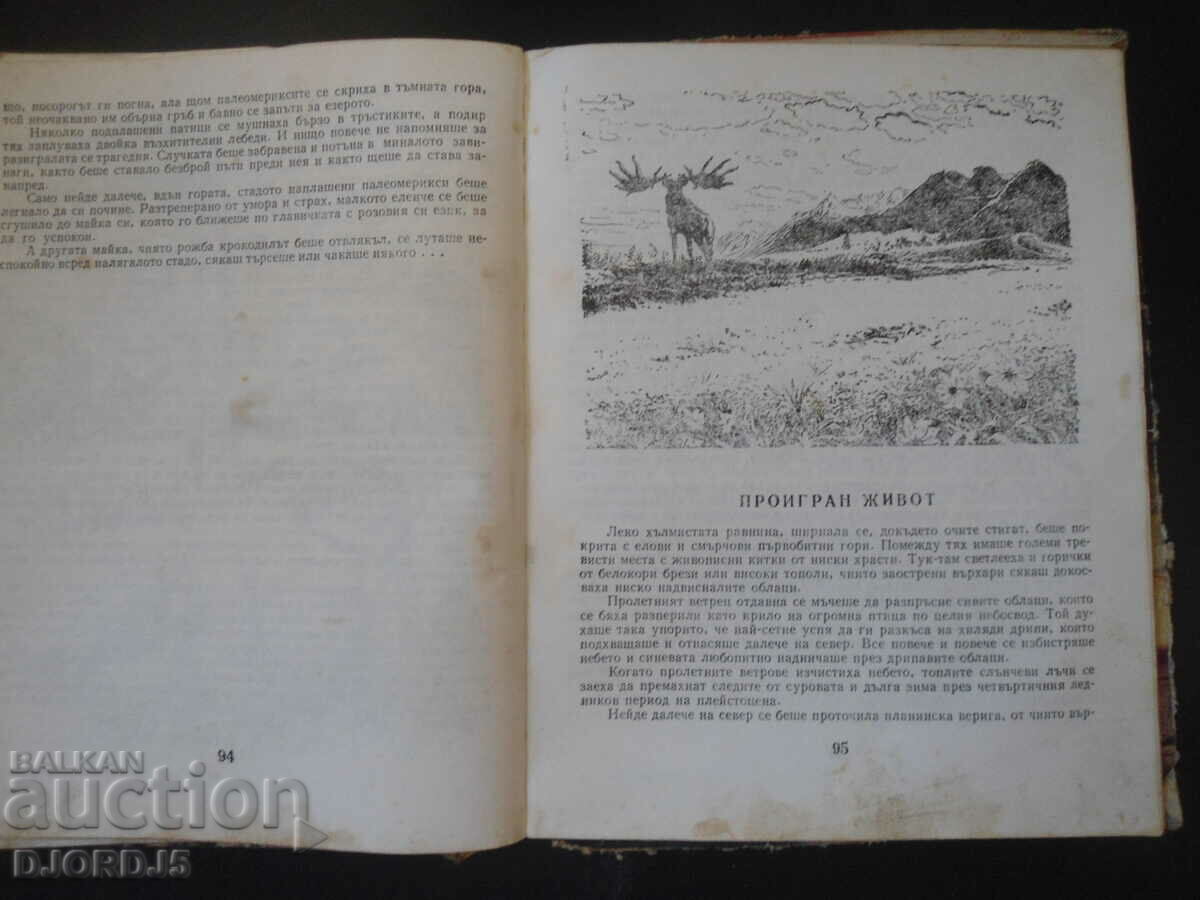 Auction The Lost World Auction The Lost World