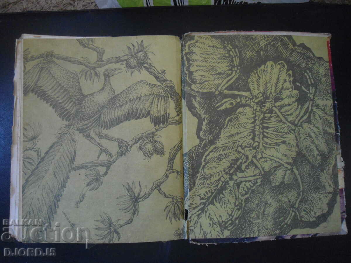 The Lost World - 5 The Lost World - 5