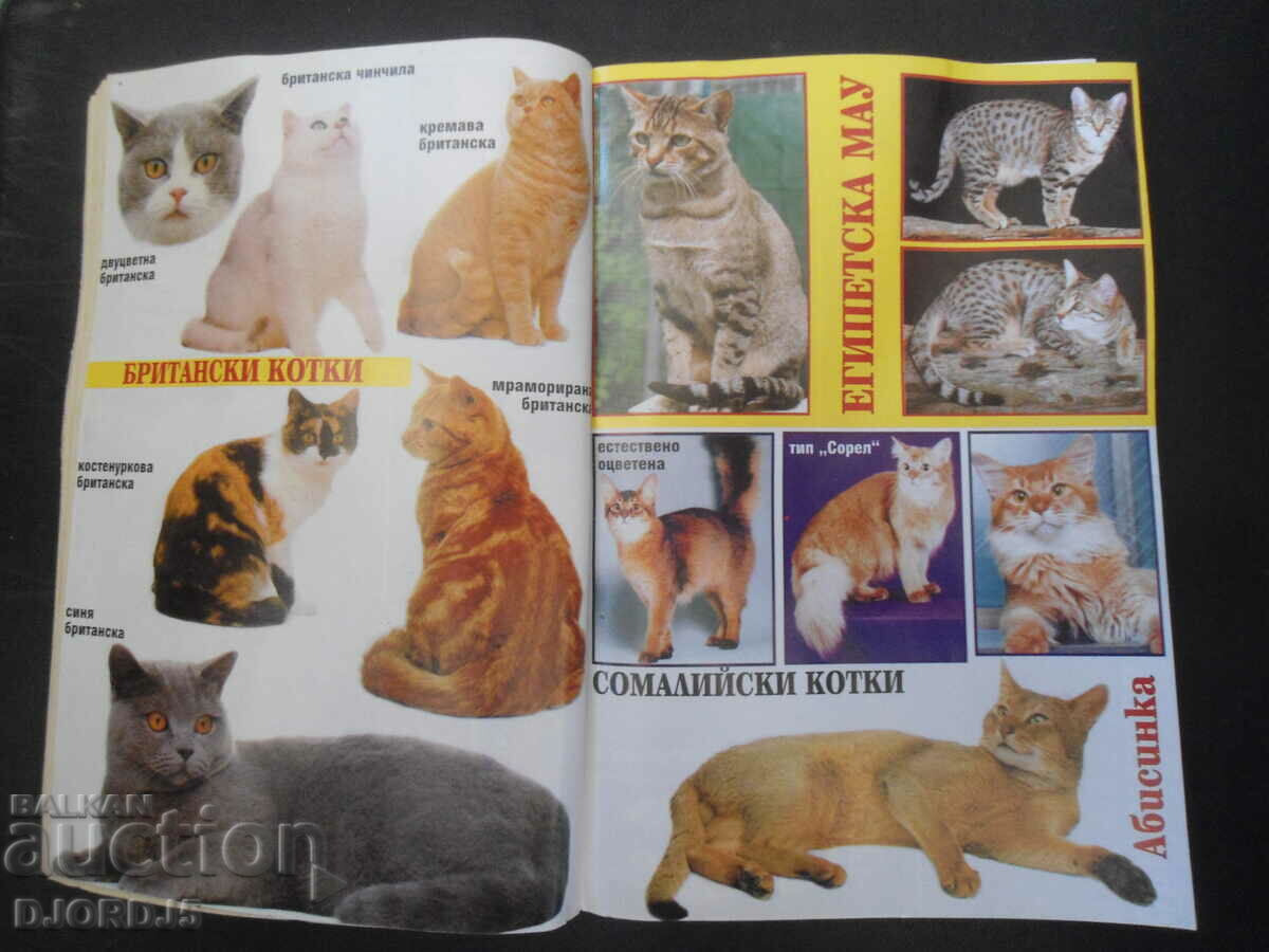 Аукцион В света на котката Аукцион В света на котката