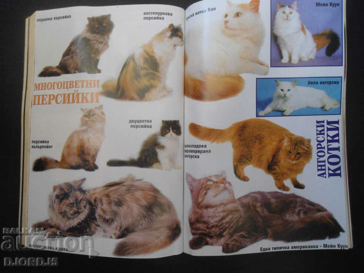 Доставка на В света на котката Доставка на В света на котката