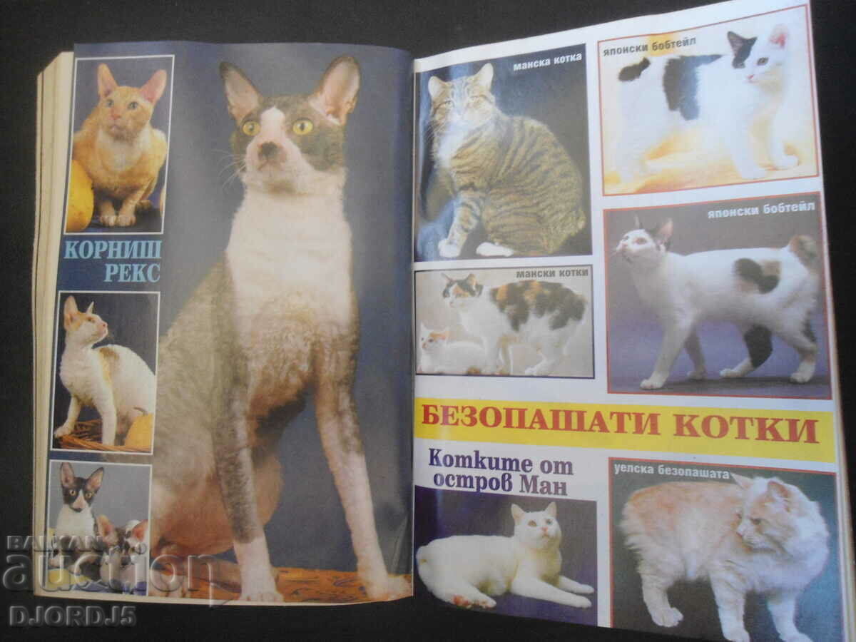 В света на котката - 5 В света на котката - 5