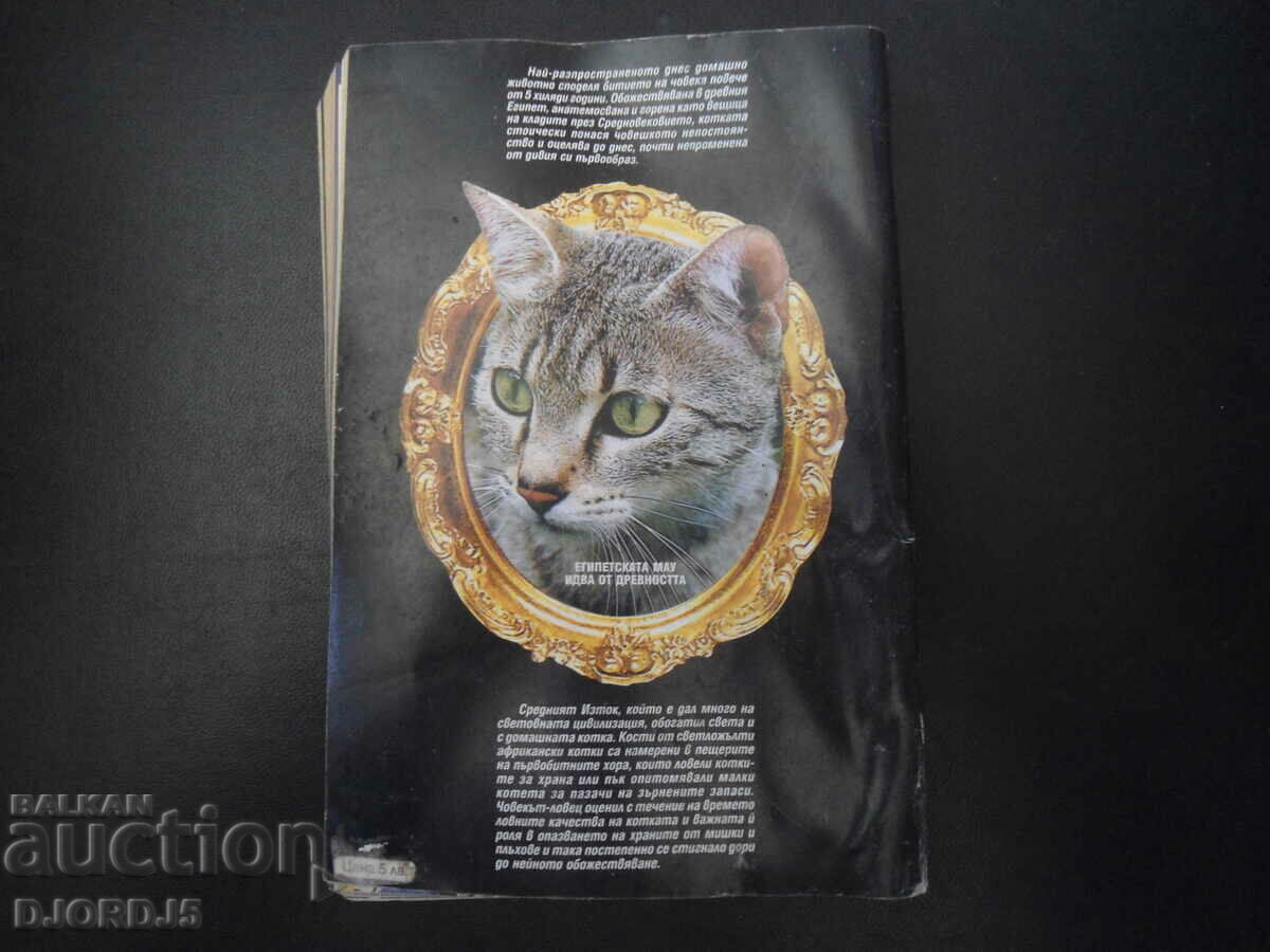 В света на котката - 6 В света на котката - 6