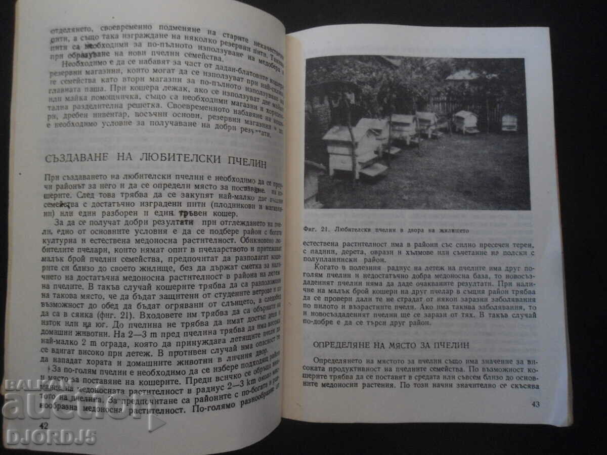 Παράδοση Συμβουλές για ερασιτέχνες μελισσοκόμους