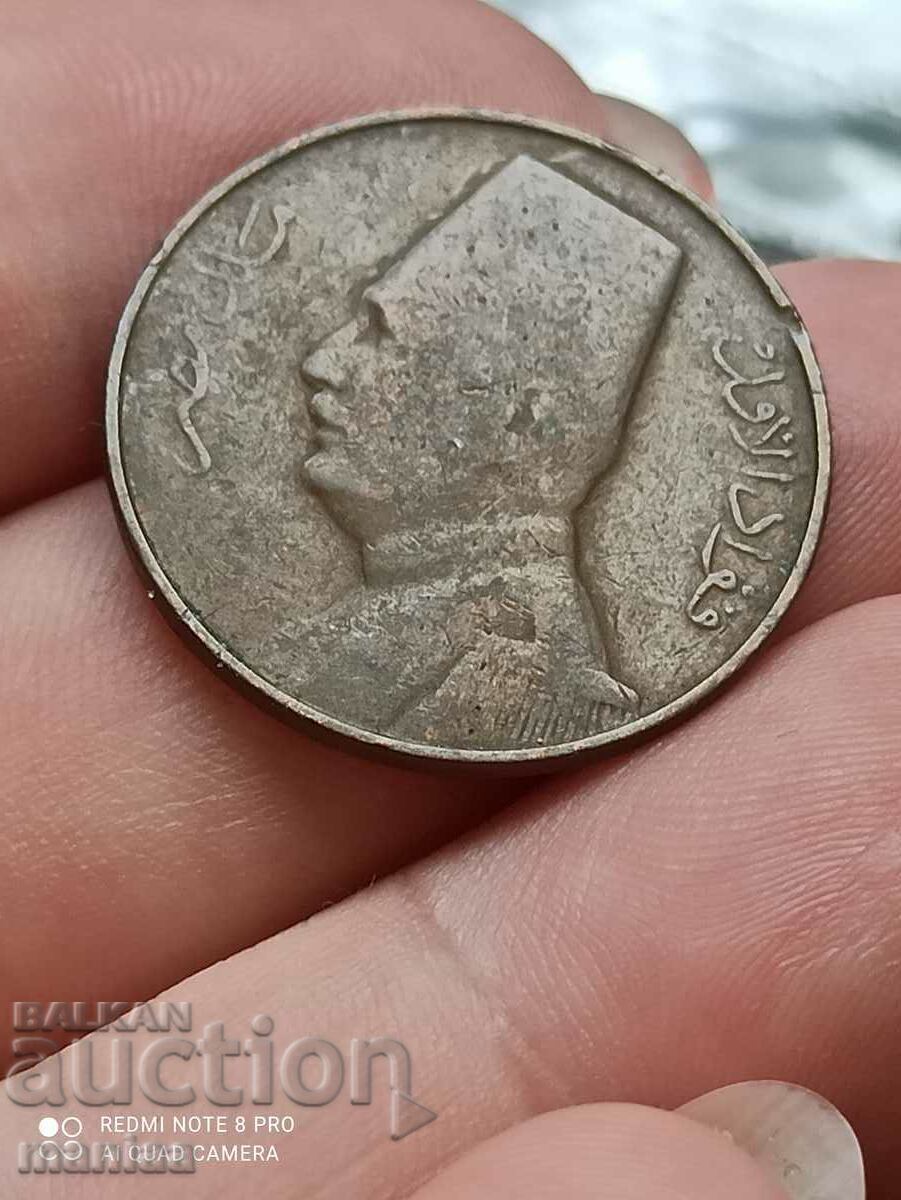 1 Milem Egypt with price 18.99 BGN | € 9.71